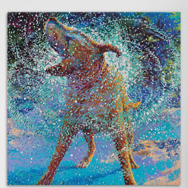 «Swimmin», reproduction d'art sur toile tendue, H 12 po x l 12 po x P 0,75 po, Toile tendue, Pas de tapis