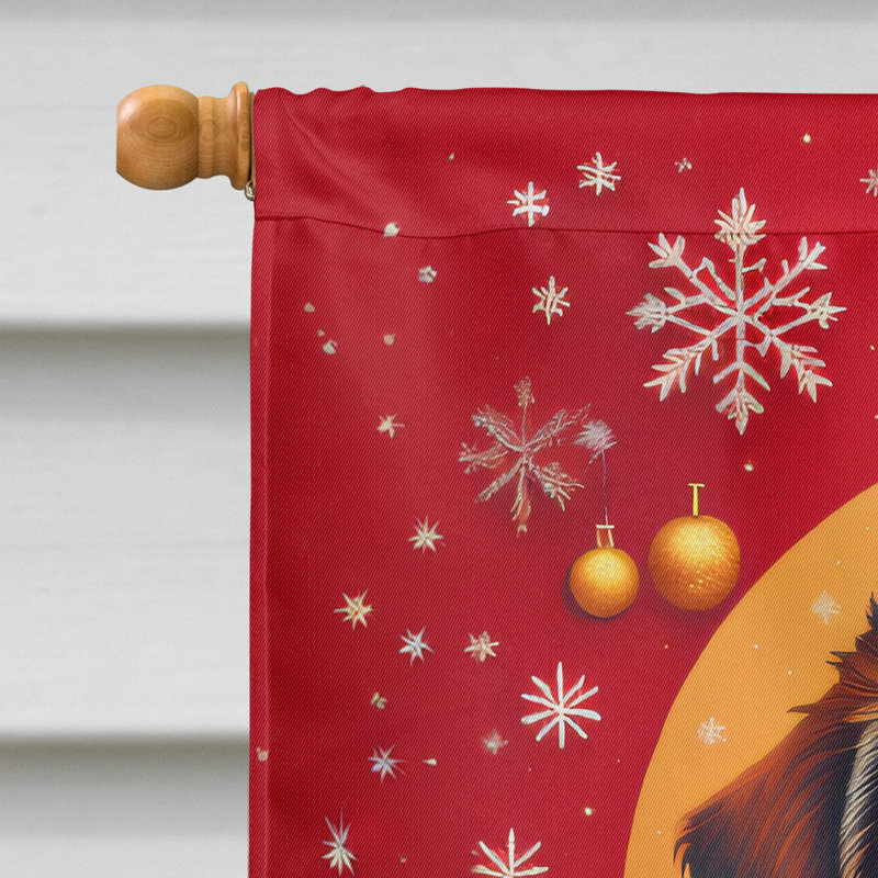 Double Sided 40'' H x 28'' W Polyester Christmas House Flag