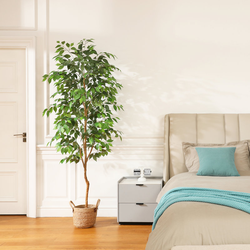 Adcock Artificial Ficus Tree in Pot with Realistic Leaves and Natural Trunk, 82" H x 20" W x 20"D