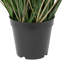 Gazon vert en pot Kellan-33783410