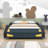 Jaqui Full Cars Bed by Trinx-1060015635