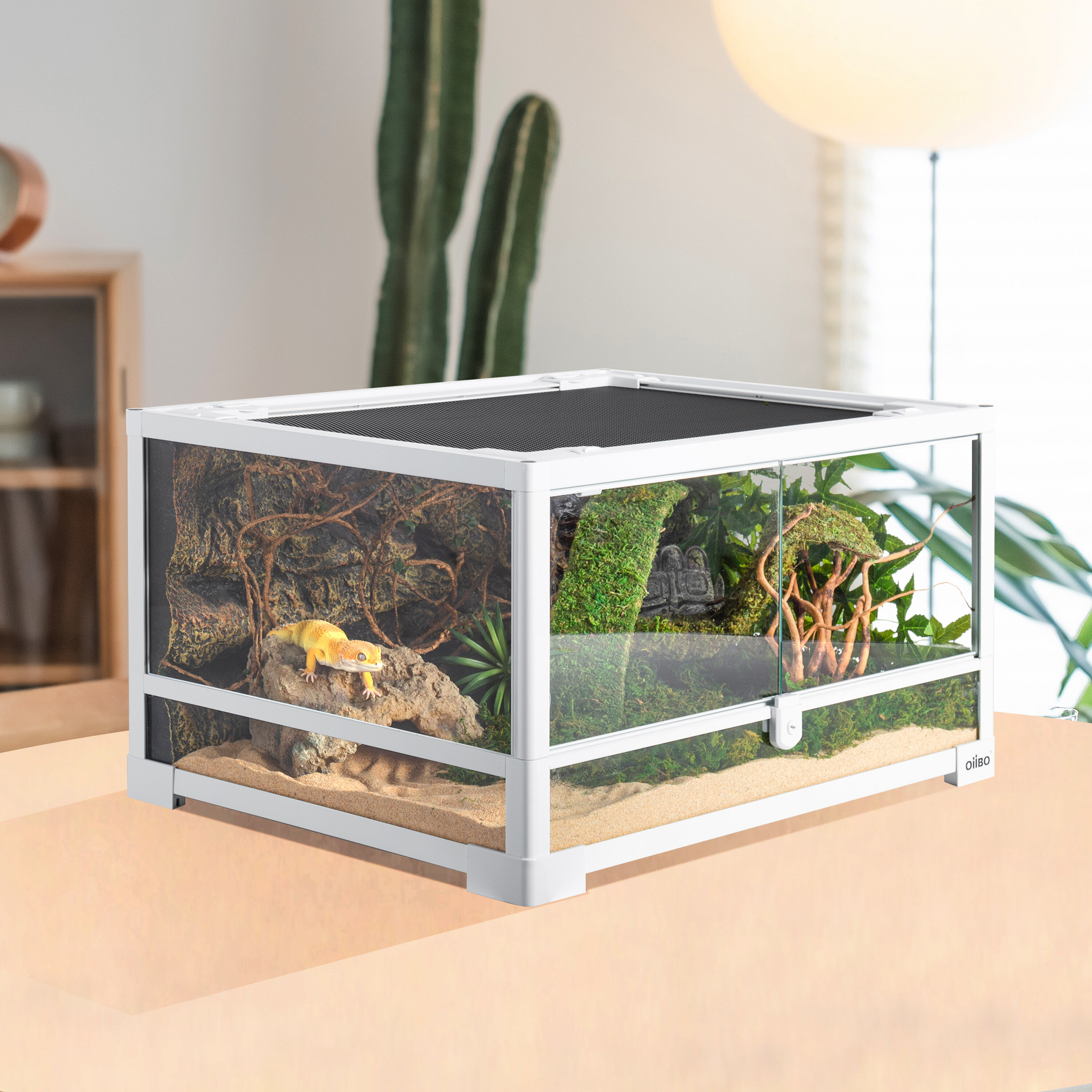 OiiBO Oiibo Reptile Glass Terrarium, Swing Doors With Screen ...