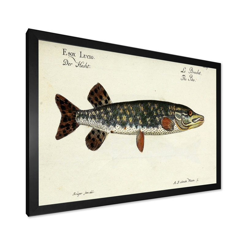 Portrait d'un poisson vert dans l'eau - peinture sur toile, H 24 po x l 32 po x P 1 po, Cadre photo noir