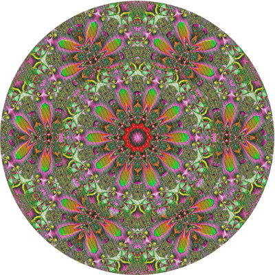 Indoor Rug