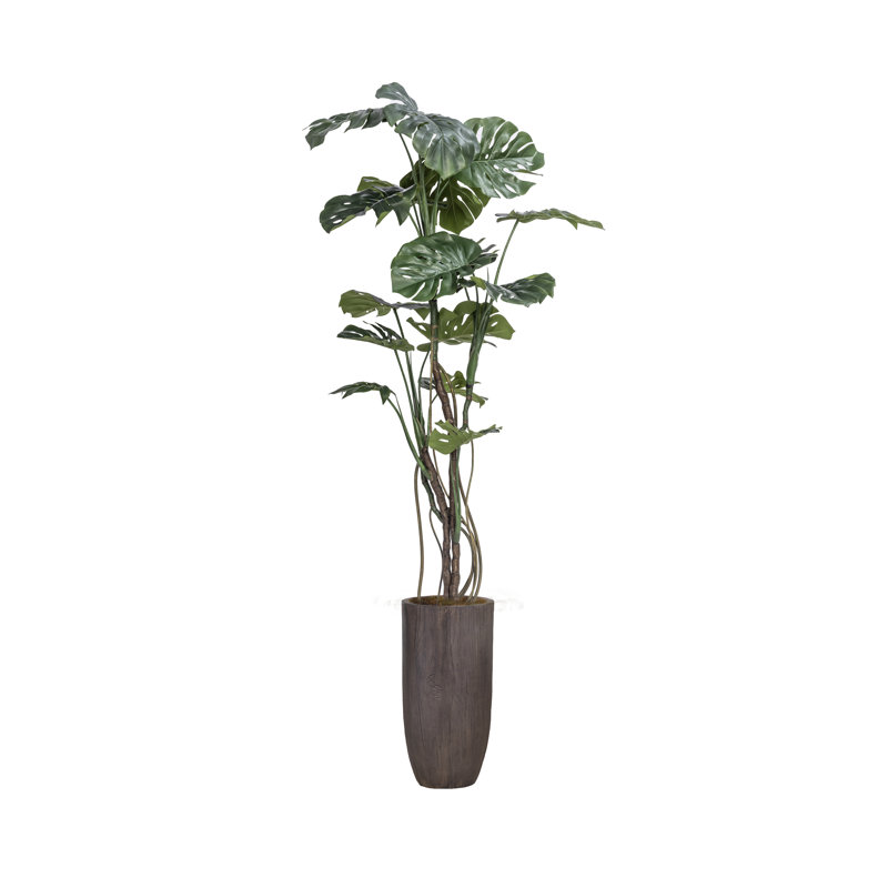 Fausse plante 85,25 po Monstera