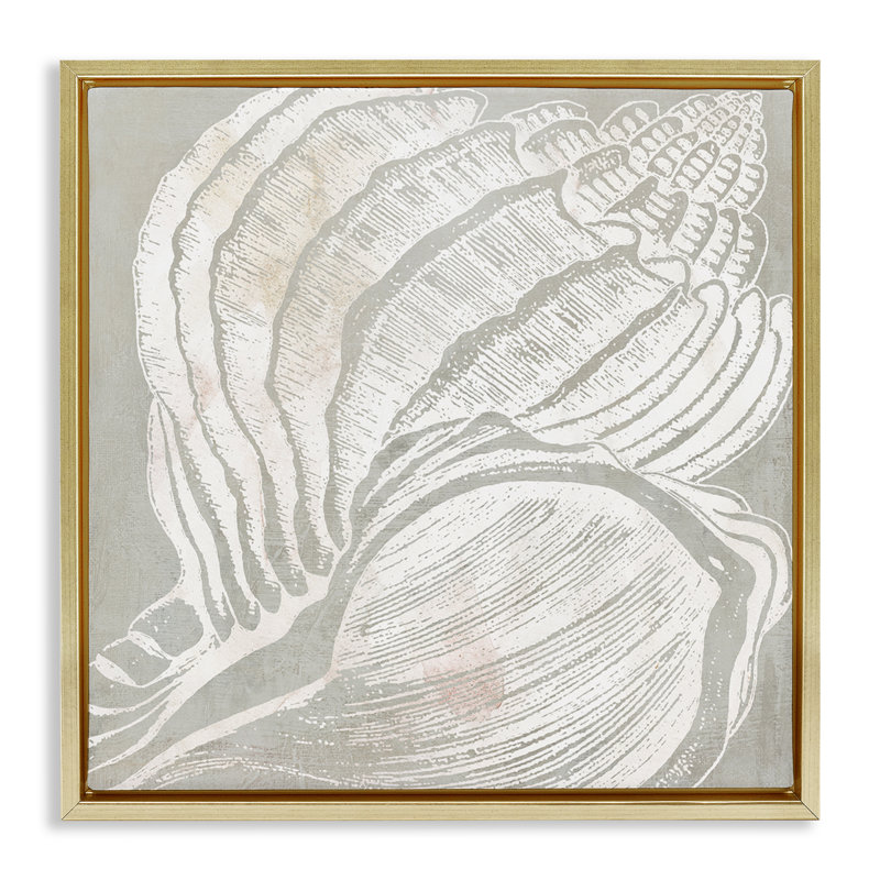 «Beige Conch» par Carol Robinson, Cadre flottant métallique doré, H 18 po x l 18 po