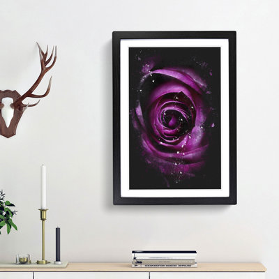Striking Purple Rose - Framed Print