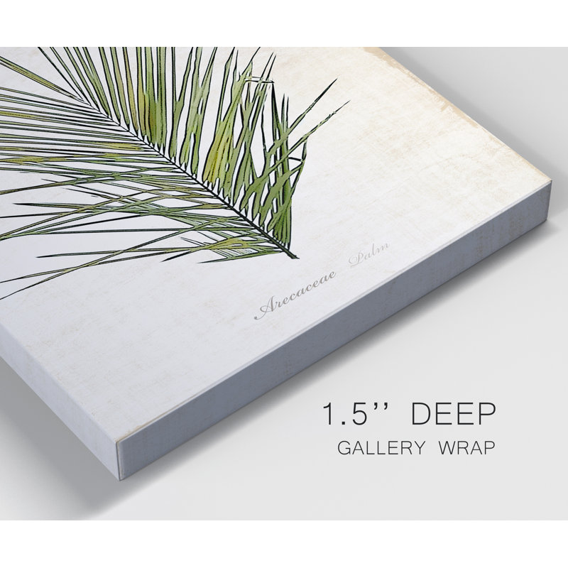Palm Botanical I - Ensemble de 2 reproductions d'art, H 12 po x l 16 po x P 1 po, Toile tendue, Pas de tapis