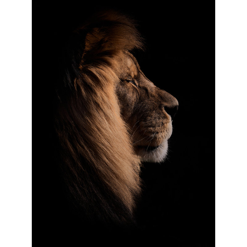 Wrapped Canvas Print, 81.28 cm H x 121.92 cm W