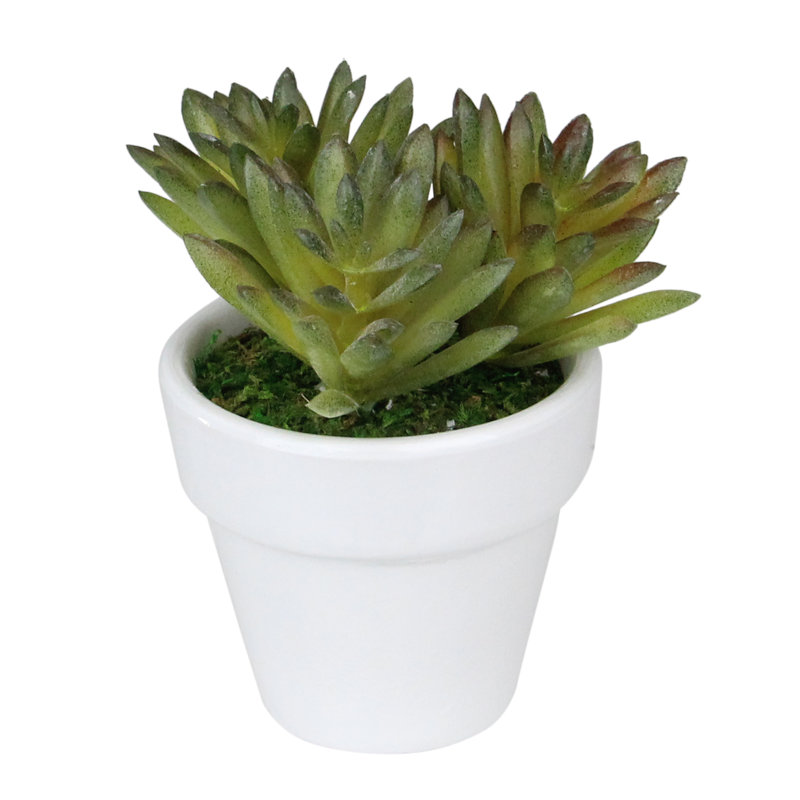 Arrangement succulent artificiel vert et rouge 4 po