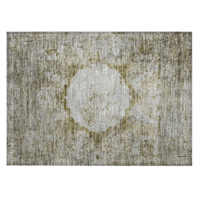 Fresnel Washable Oriental Indoor / Outdoor Rug