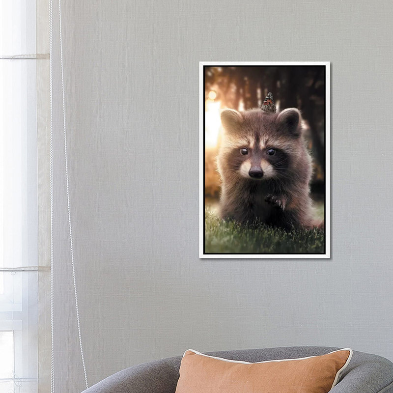 Raccoon Butterfly by Zenja Gammer - Print on Canvas, White Framed, 66.04 cm H x 45.72 cm W