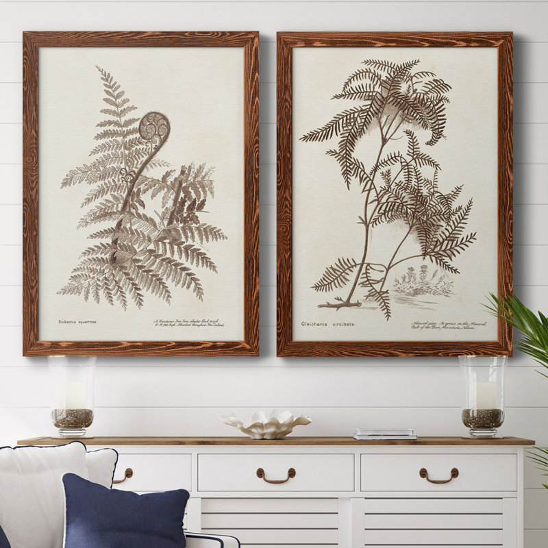 Sépia fougères Variétés I, toile encadrée de qualité supérieure - prête à être accrochée, H 37,5 po x l 55 po x P 1,5 po
