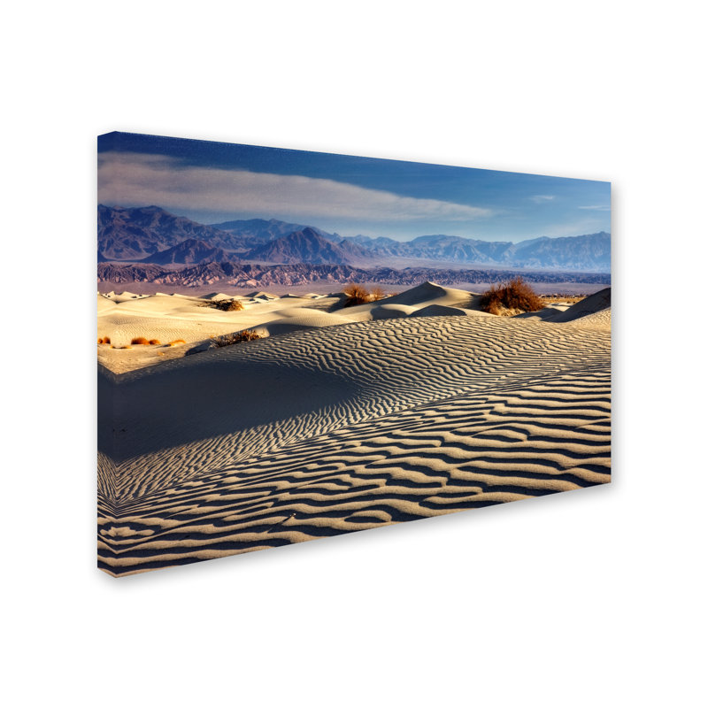 Alexan, «Mort Valley Mesquite Dunes», reproduction de photo sur toile tendue, H 12 po x l 19 po