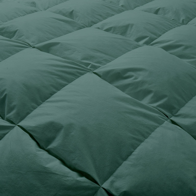 600 Fill Power All Seasons Down Comforter, Green, King Down Comforter