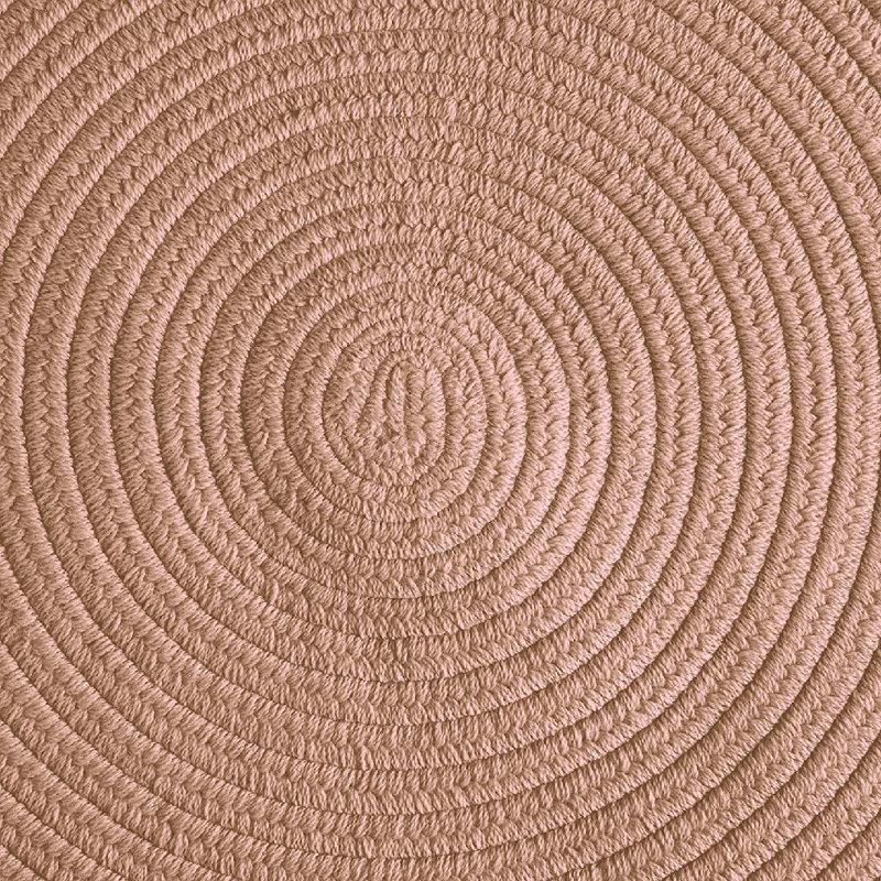 Ardhan Indoor / Outdoor Rug