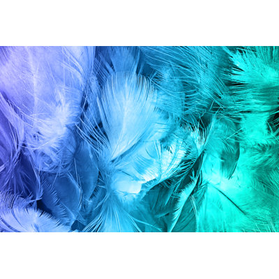 Colour Chicken Feather by Nadtytok - Wrapped Canvas Print
