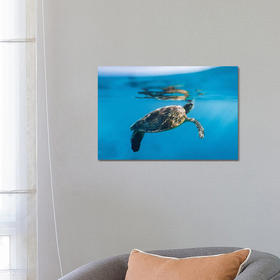 Large Turtle Underwater Reef by James Vodicka - Wrapped Canvas Gallery-Wrapped Canvas Giclée