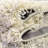 Performance Abstract Indoor Rug-1603268465