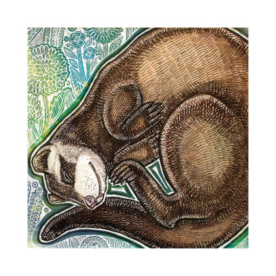 Dreaming Ferret by Lynnette Shelley - Wrapped Canvas Print