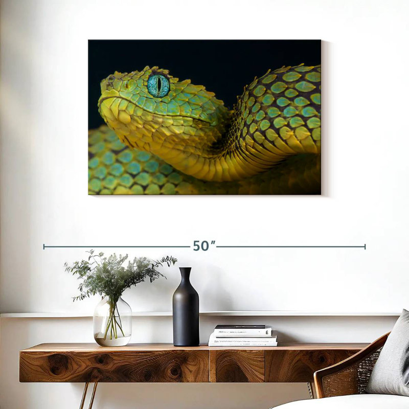 African Bush Viper, 24" H x 36" W
