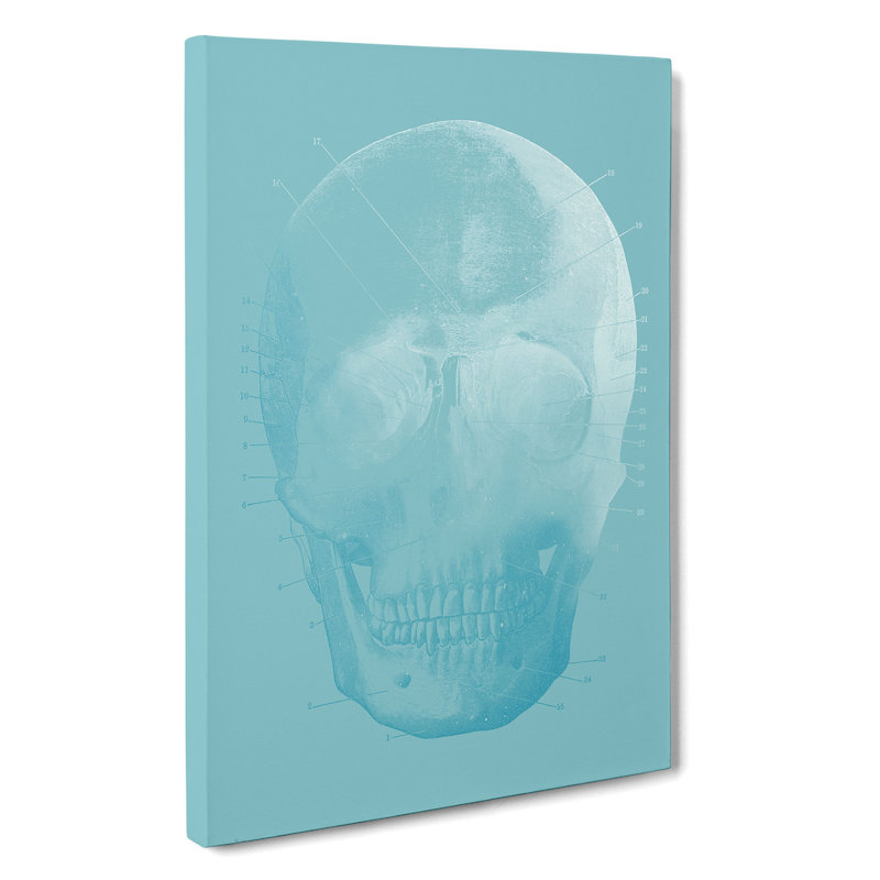 Blue Twilight Skull - Wrapped Canvas, 76cm H x 50cm W x 3cm D