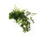 Jenner Faux Ivy Plant in Glass Vase