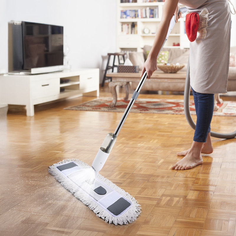 Mop
