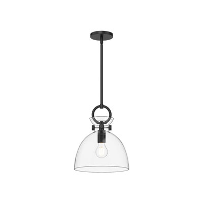 Tinka Single Light Glass Steel Pendant