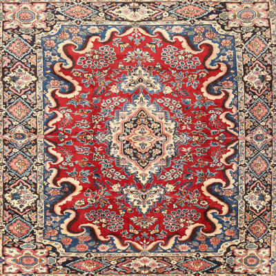Oriental Indoor Rug