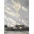 Aliha 25 - Light Cluster Pendant-1695494843