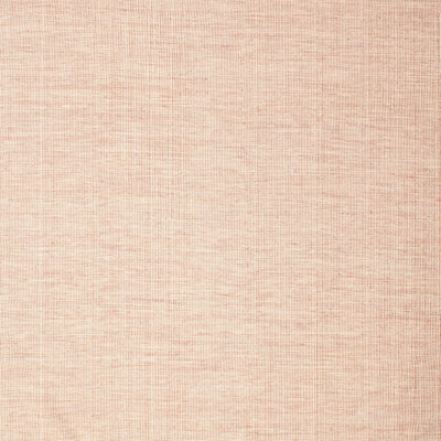 Indoor Rug