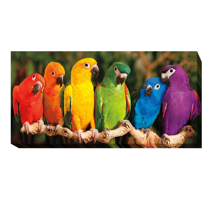 «Rainbow Parrots» par Mike Jones - reproduction de photo sur toile tendue, H 12 po x l 24 po