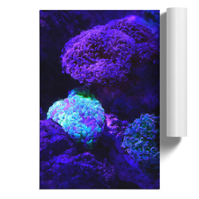 Luminescent Coral Painting - Frameless Print