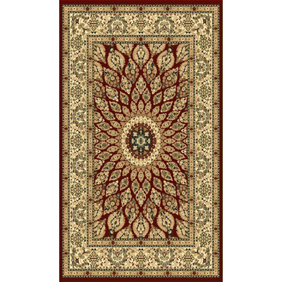Infinity Oriental Area Rug in Burgundy