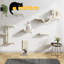  Ensemble de 6 tablettes pour arbre à chat / ensemble d'escalade mural, lit pour chat, hamac Galiya-385899605