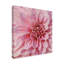 « wall fleur vii », photographie sur toile tendue-132379223