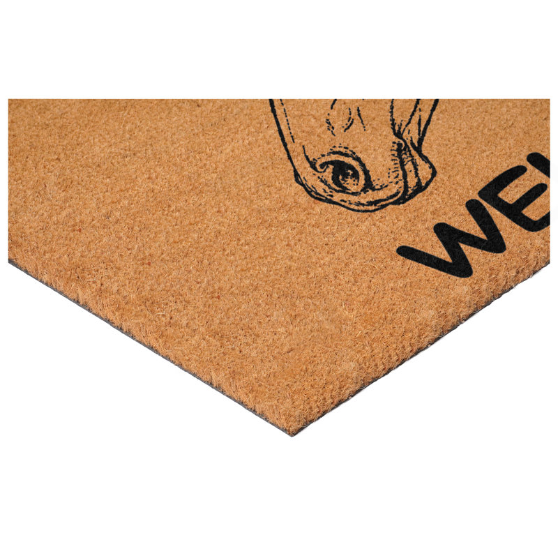 Danelis Non-Slip Animal Print Doormat, 24" x 36"