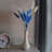 100pcs Home Decoration Rabbit Tail Grass Dried Flower Bundle True Flower Eternal Flower-636222131