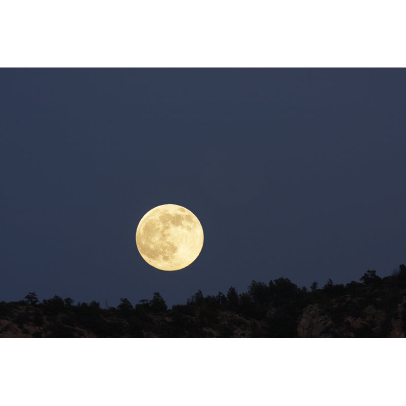 Full Moon Desert Night Silhouette by ChuckSchugPhotography - No Frame Art Prints on Canvas, 81cm H x 122cm W
