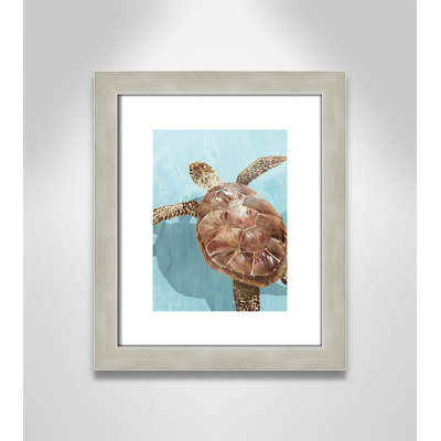Tortue océanique II - reproduction de cadre photo