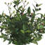 Weatherhill Faux Floral in Vase