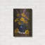 «Black Eyed Susans» par Christopher Pierce-1431083532