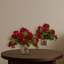 Geranium floral en pot