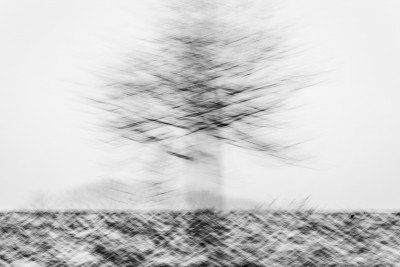 Wrapped Canvas Print, 81.28 cm H x 121.92 cm W
