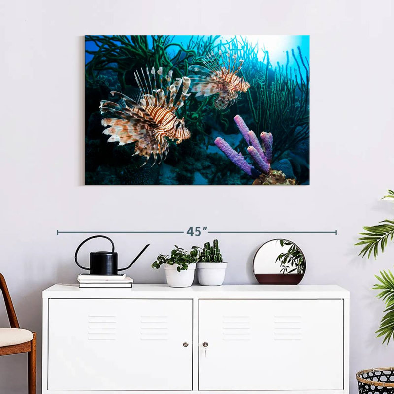 Brampt Atlantic Ocean Lionfish, 24" H x 36" W