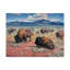 « home on the range », peinture sur toile tendue-629355708