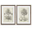«Fresco Crown Imperial II», ensemble de 2 reproductions d'art encadrées-1448787856-1448787869-1448787868