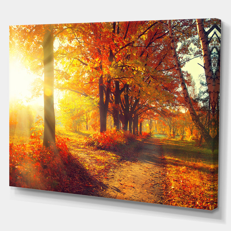 «Autumnal Trees, Sunrays», reproduction de photo sur toile tendue, H 8 po x l 12 po x P 1 po, Toile tendue
