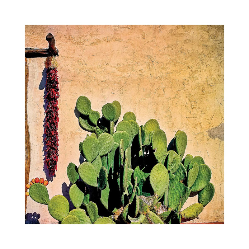 Prickly Pear And Chillis by Mark Paulda - Print on Canvas, 66.04cm H x 66.04cm W x 3.81cm D, Wrapped Canvas